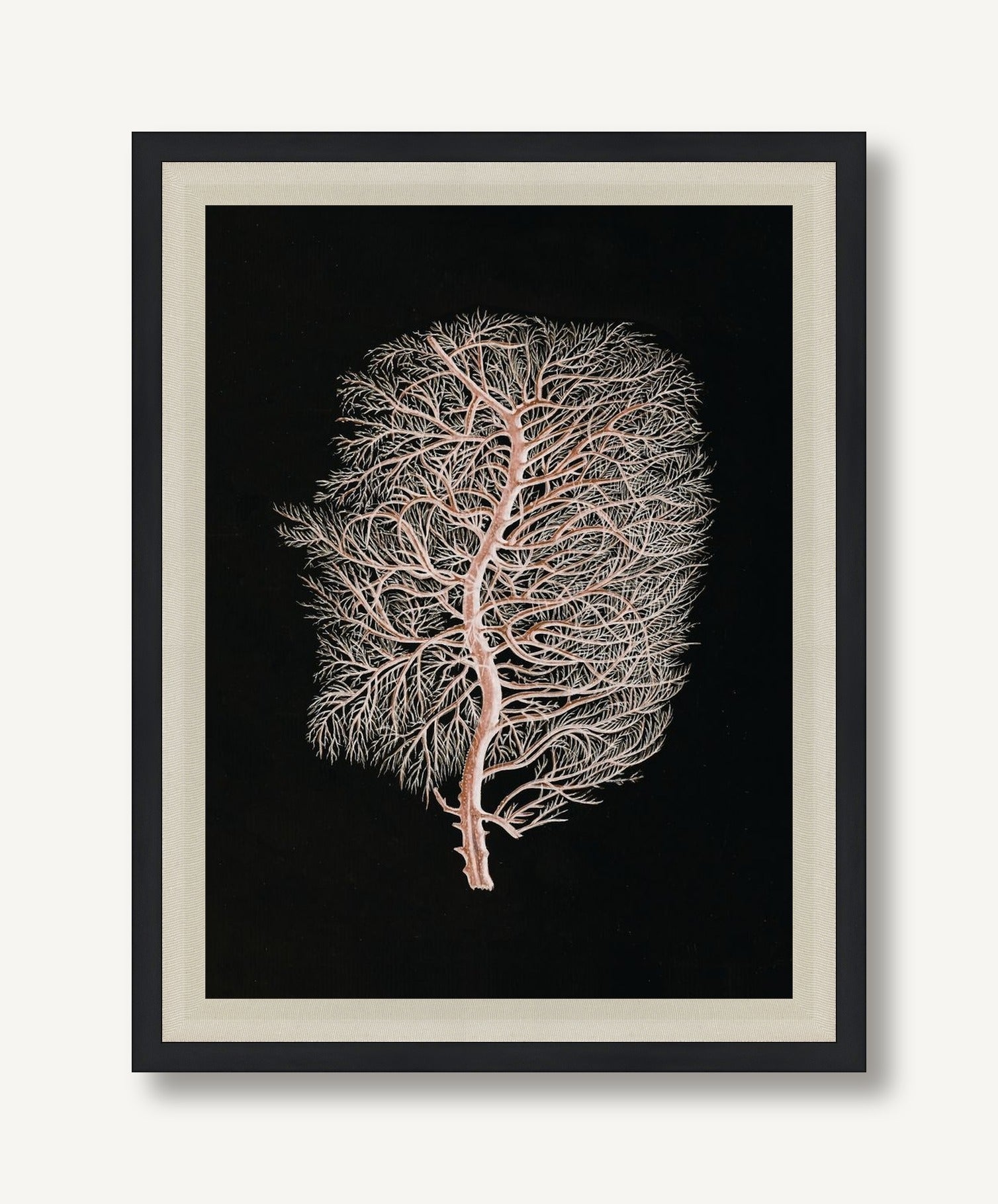 Timeless Relic 2 framed