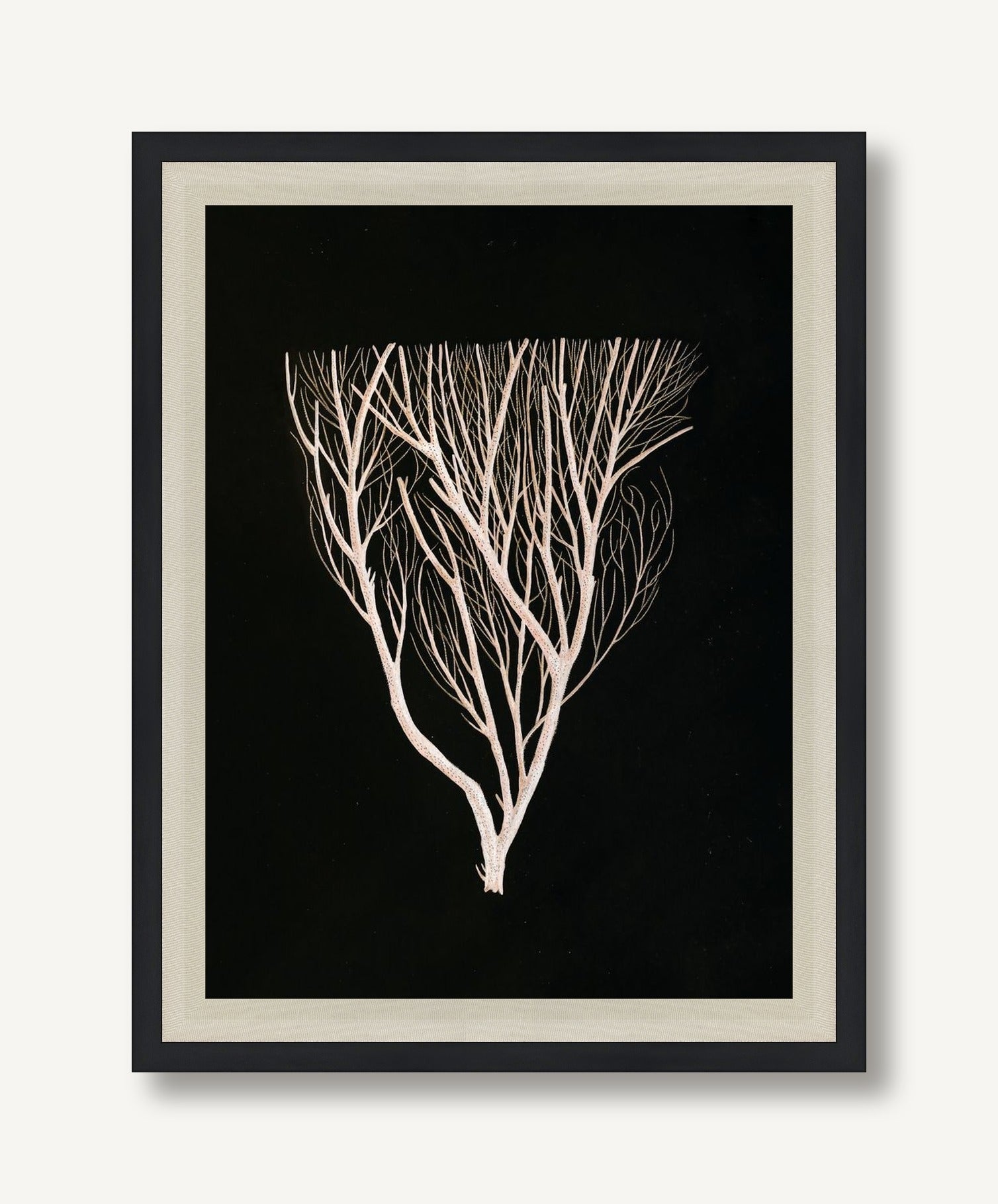 Timeless Relic 3 framed