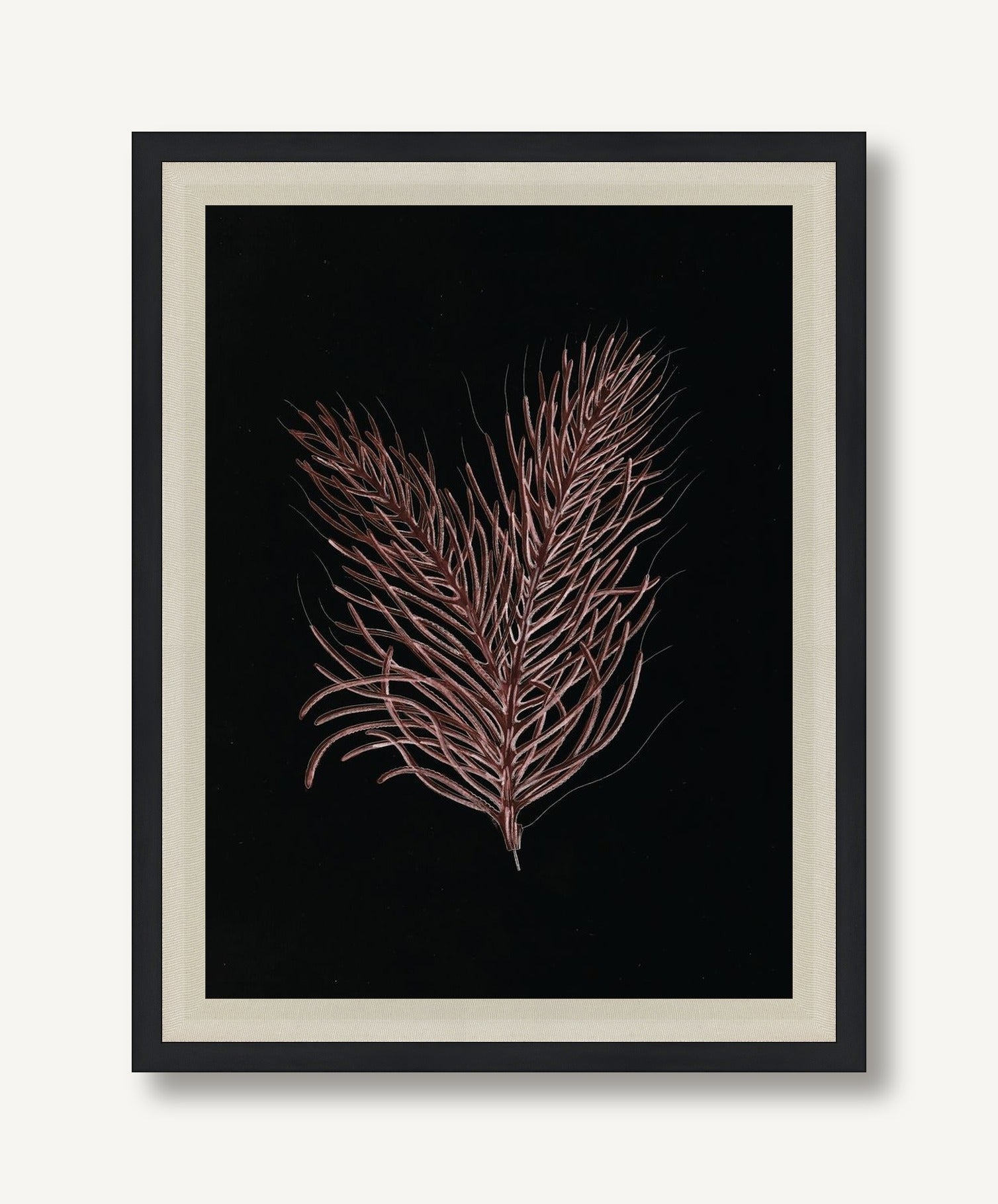 Timeless Relic 4 framed