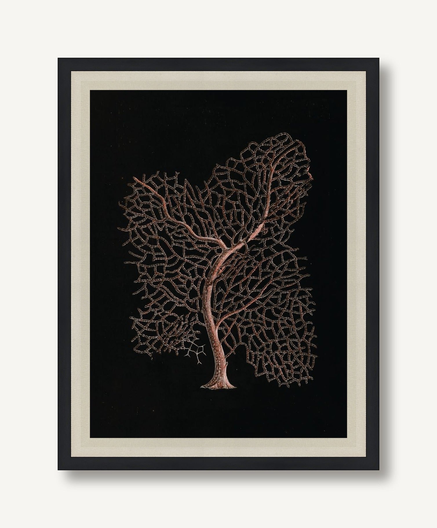 Timeless Relic 5 framed