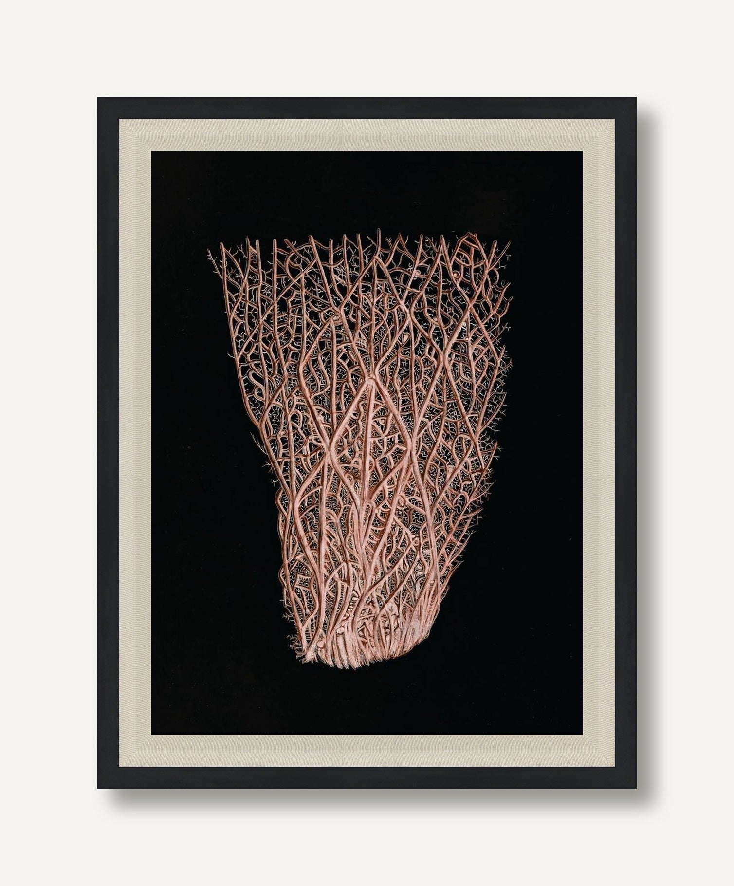 Timeless Relic 6 framed