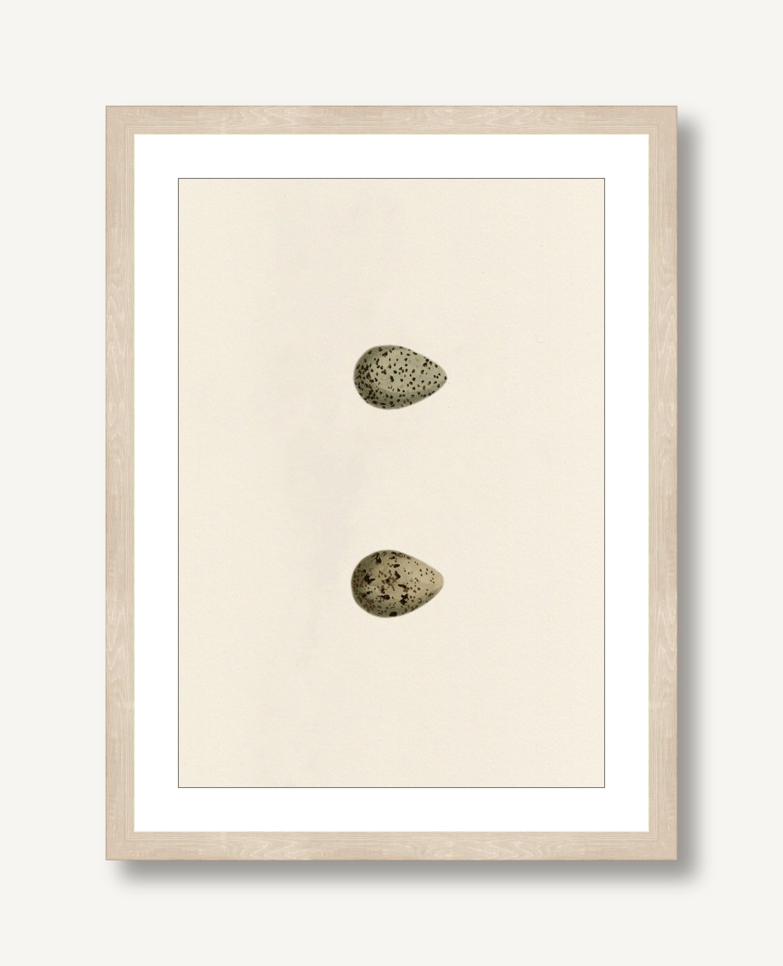 Unhatched 1 framed