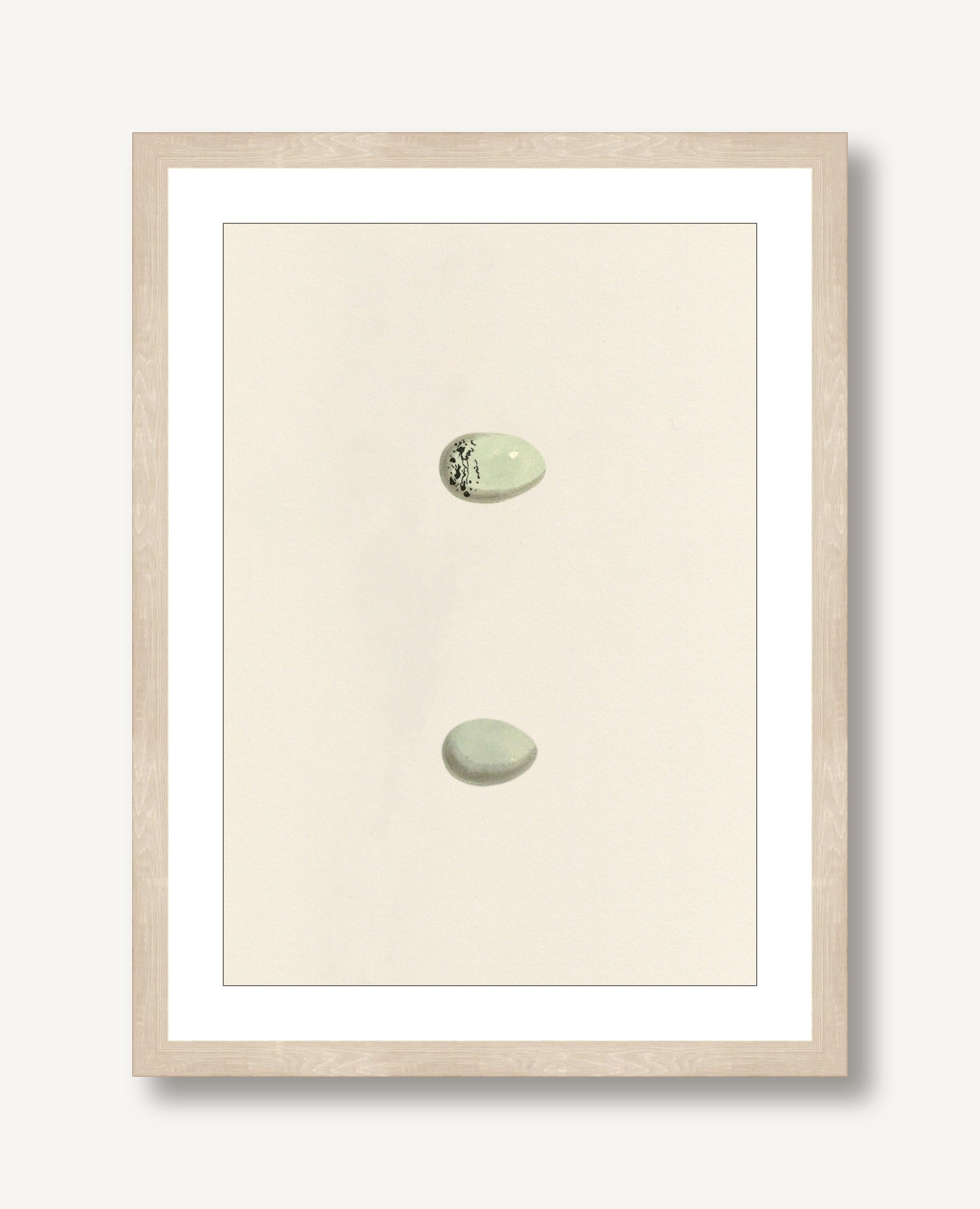 Unhatched 2 framed