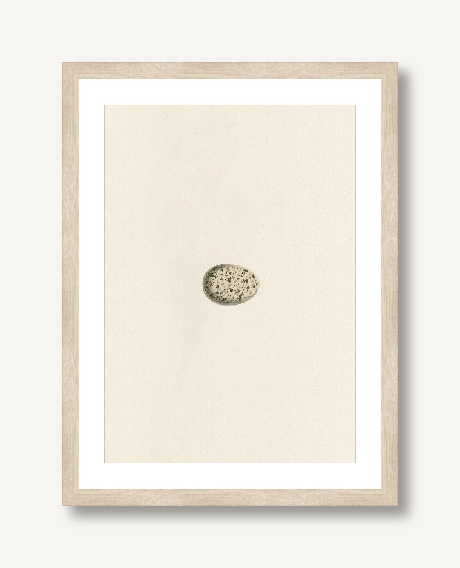 Unhatched 3 framed