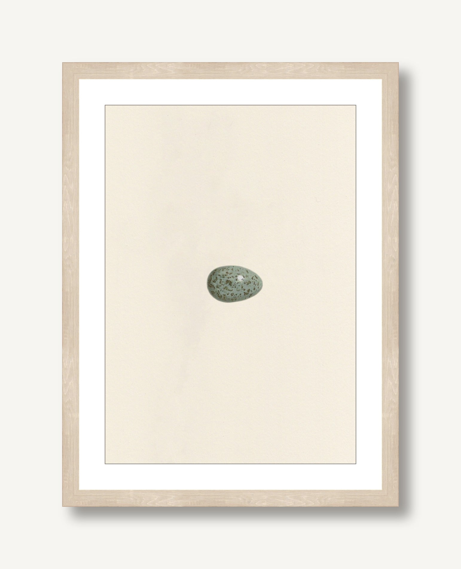 Unhatched 5 framed