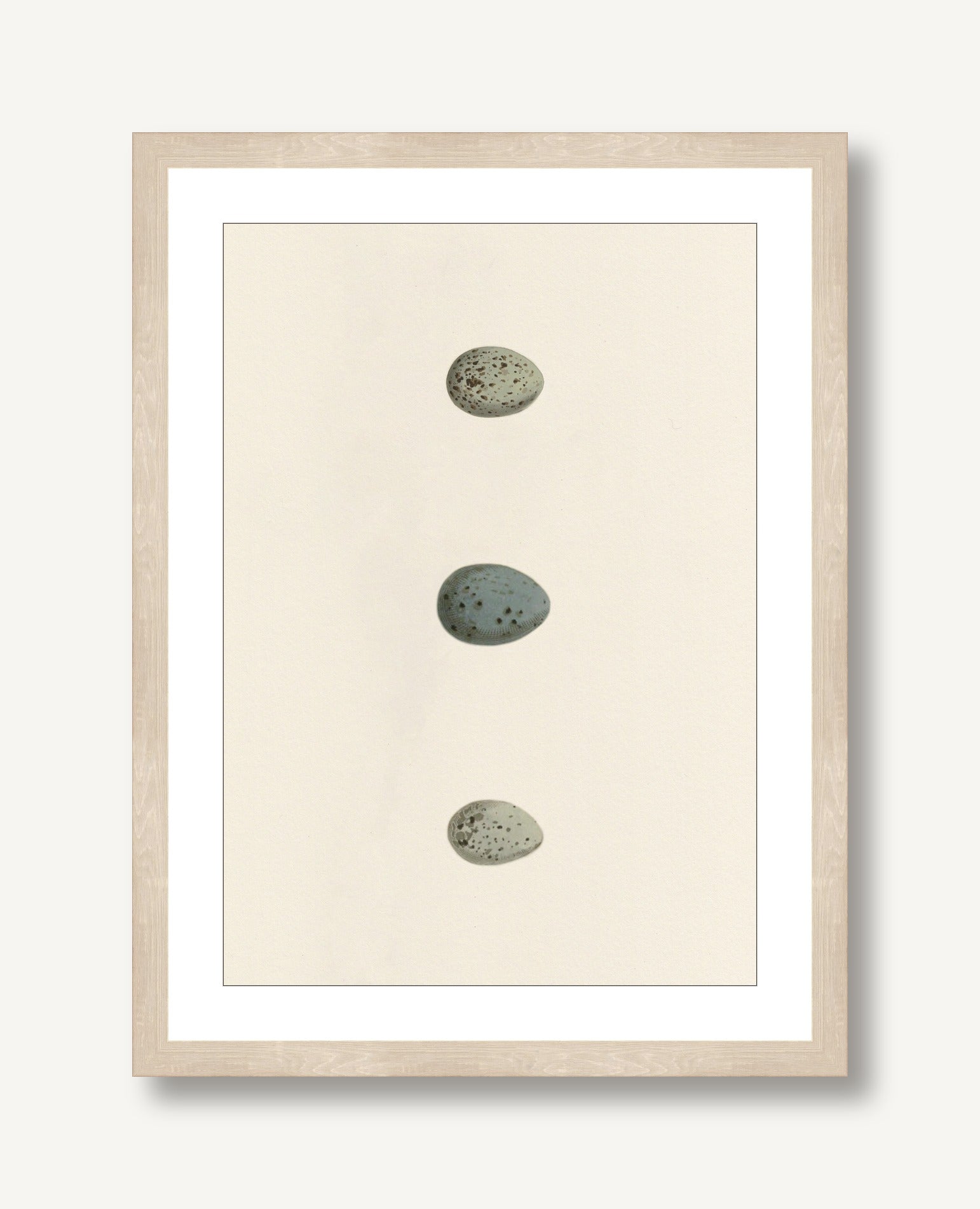 Unhatched 6 framed