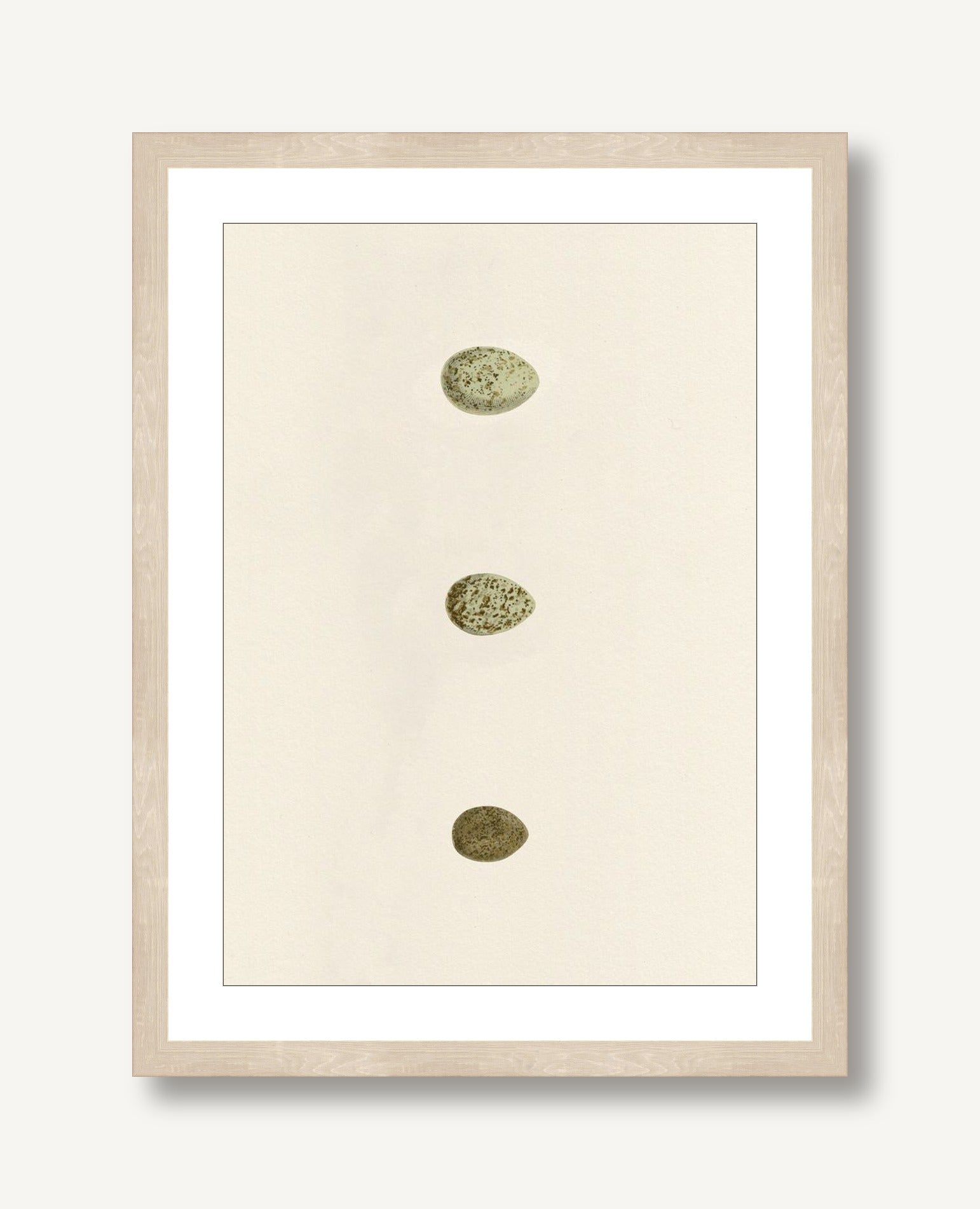 Unhatched 8 framed