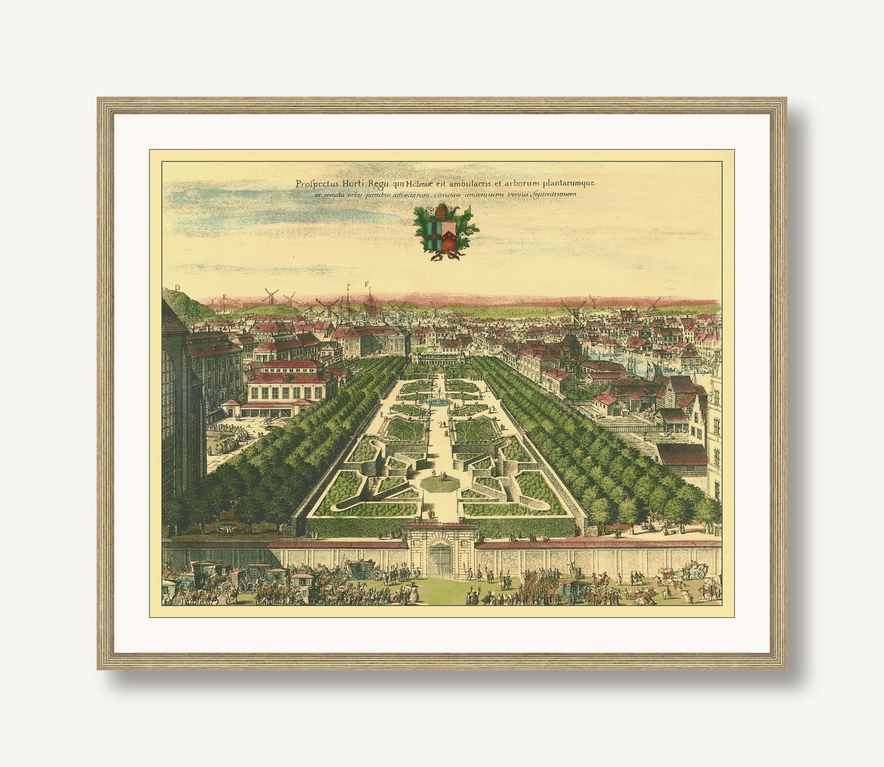 Verdant Visions 1 framed