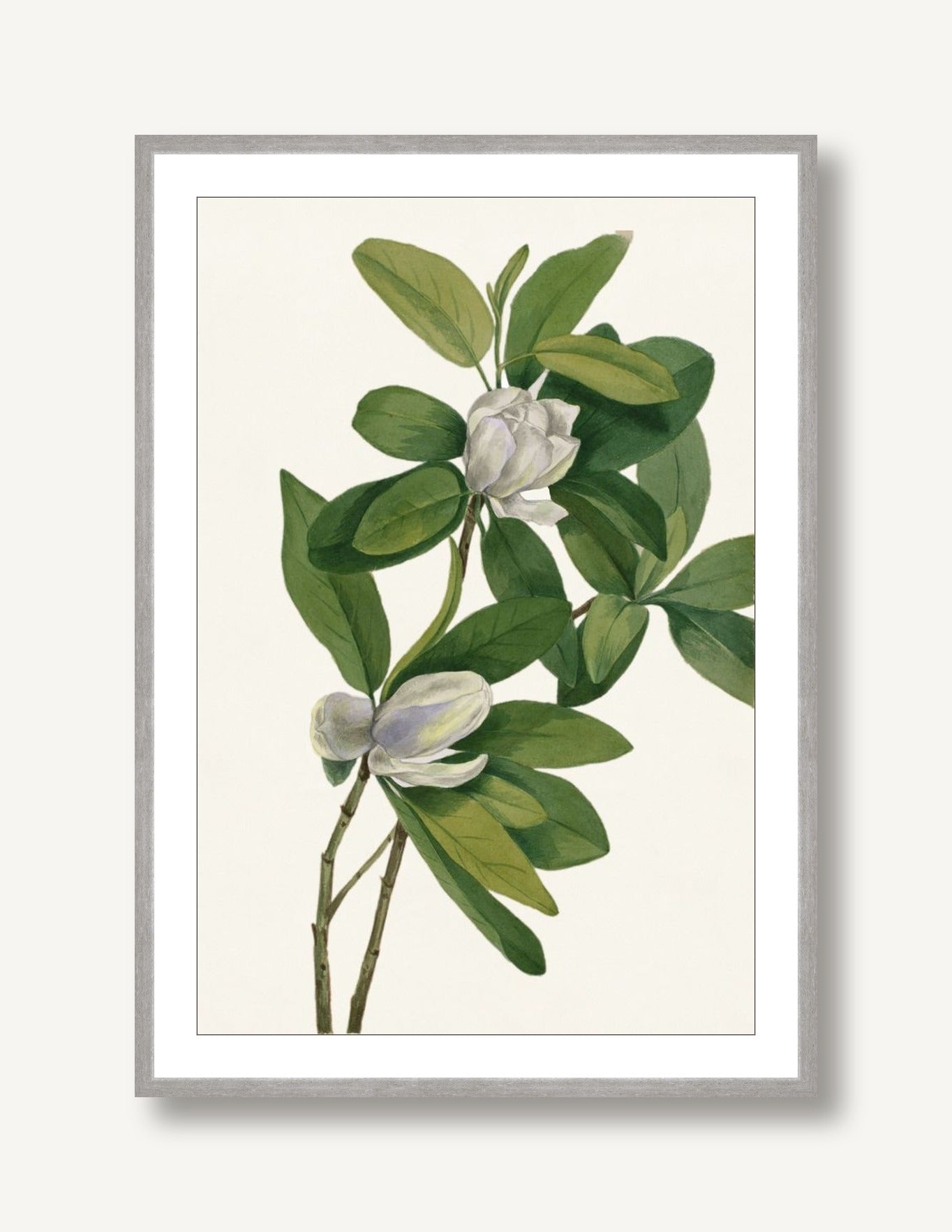 White Florals 1 framed