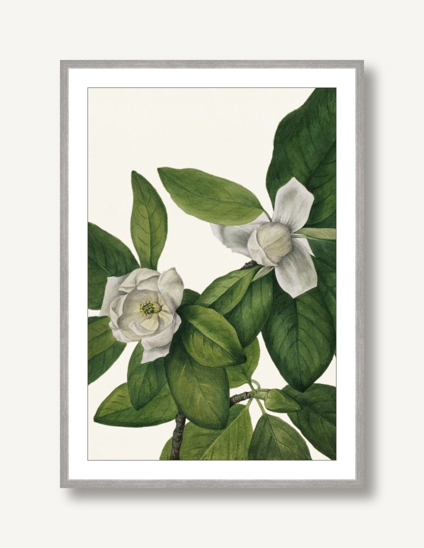 White Florals 2 framed