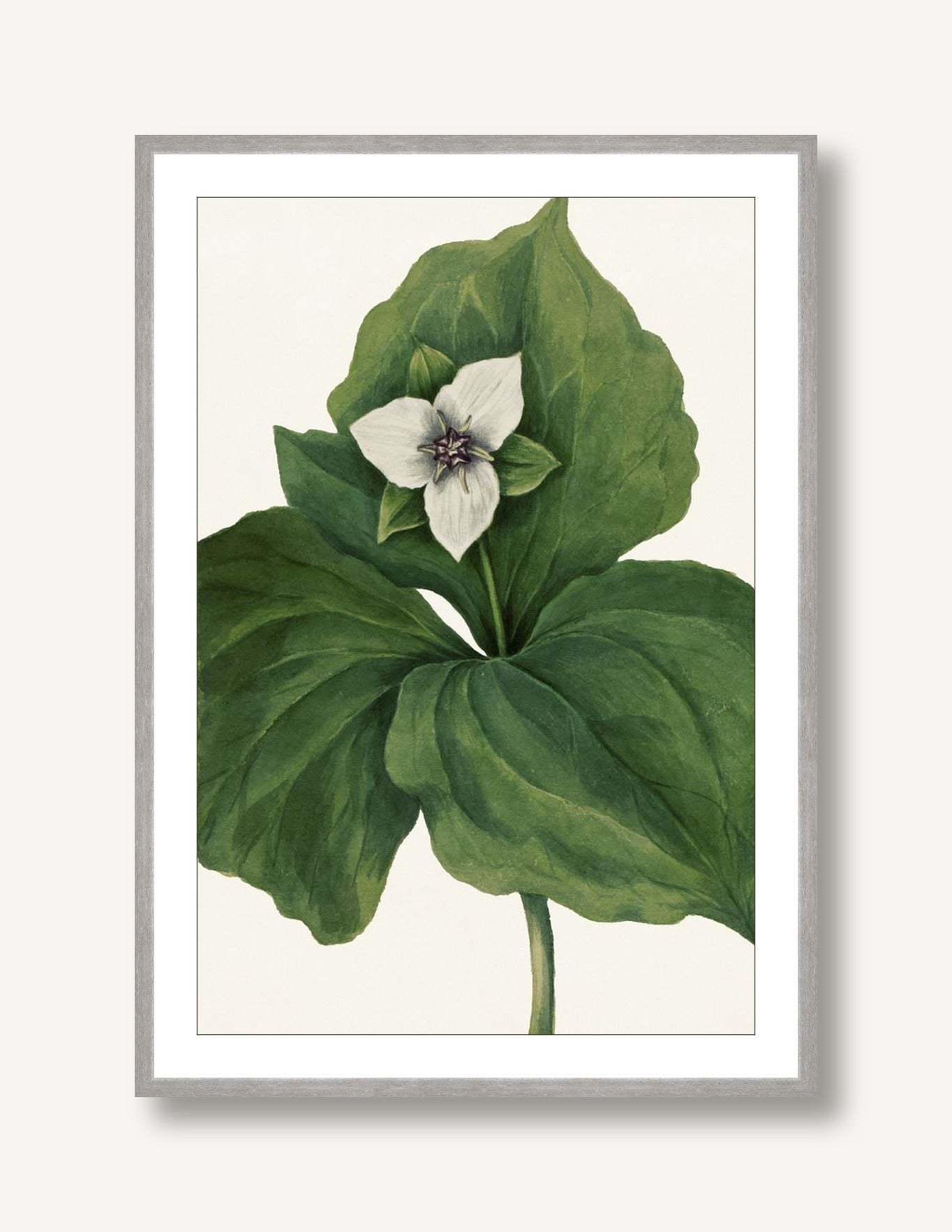 White Florals 3 framed