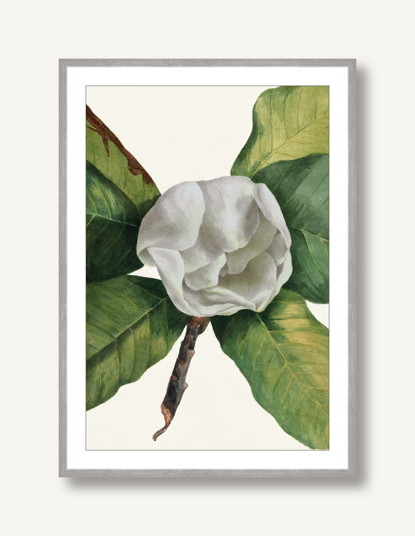 White Florals 4 framed