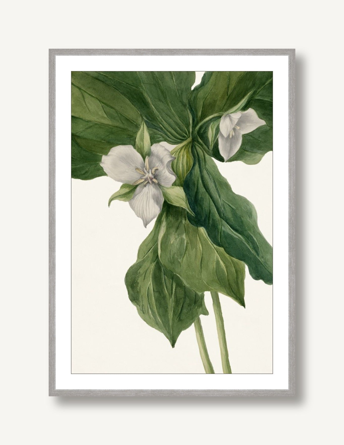White Florals 5 framed