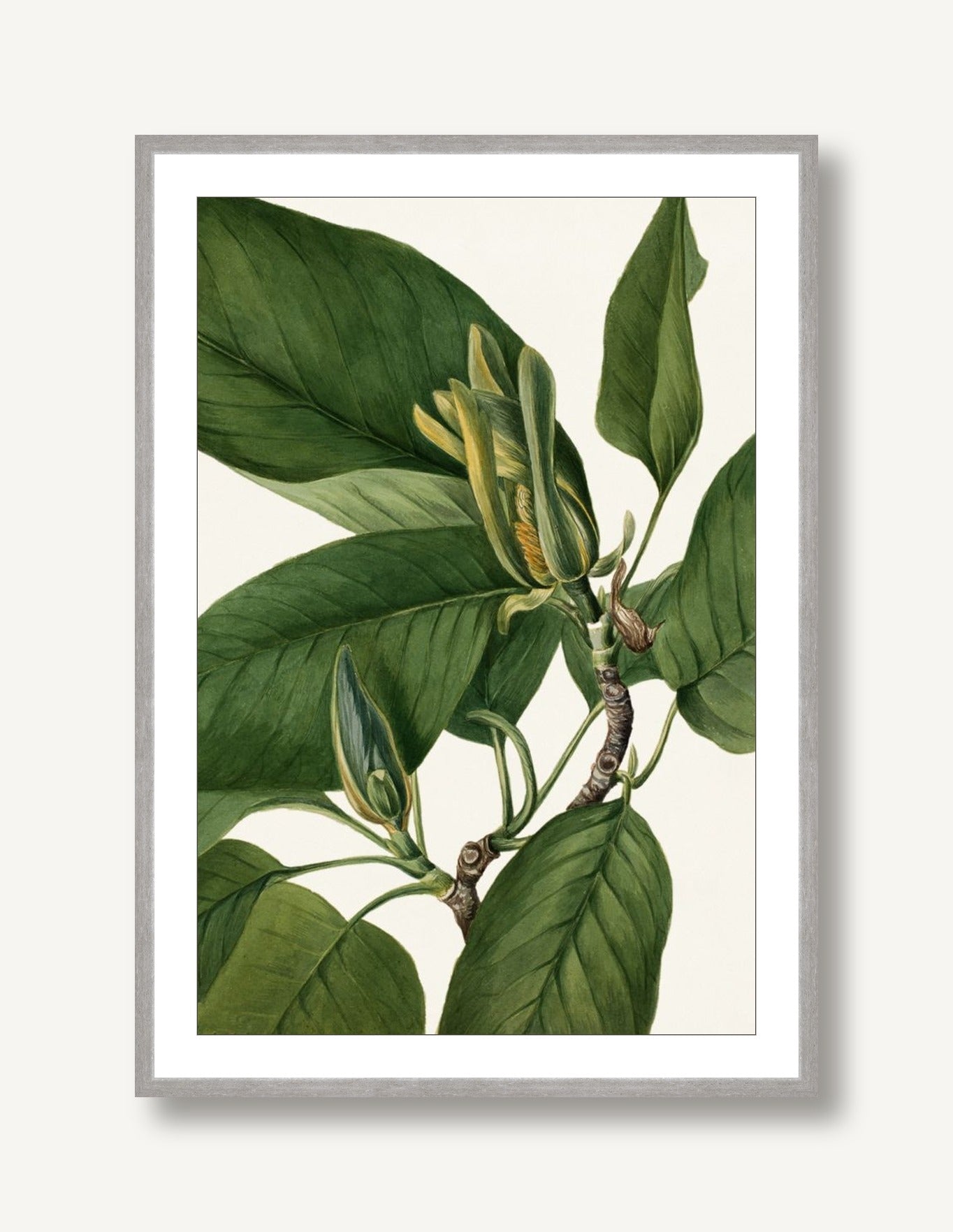 White Florals 6 framed