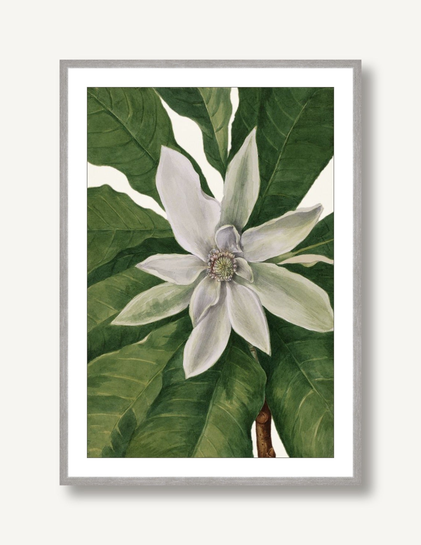 White Florals 7 framed