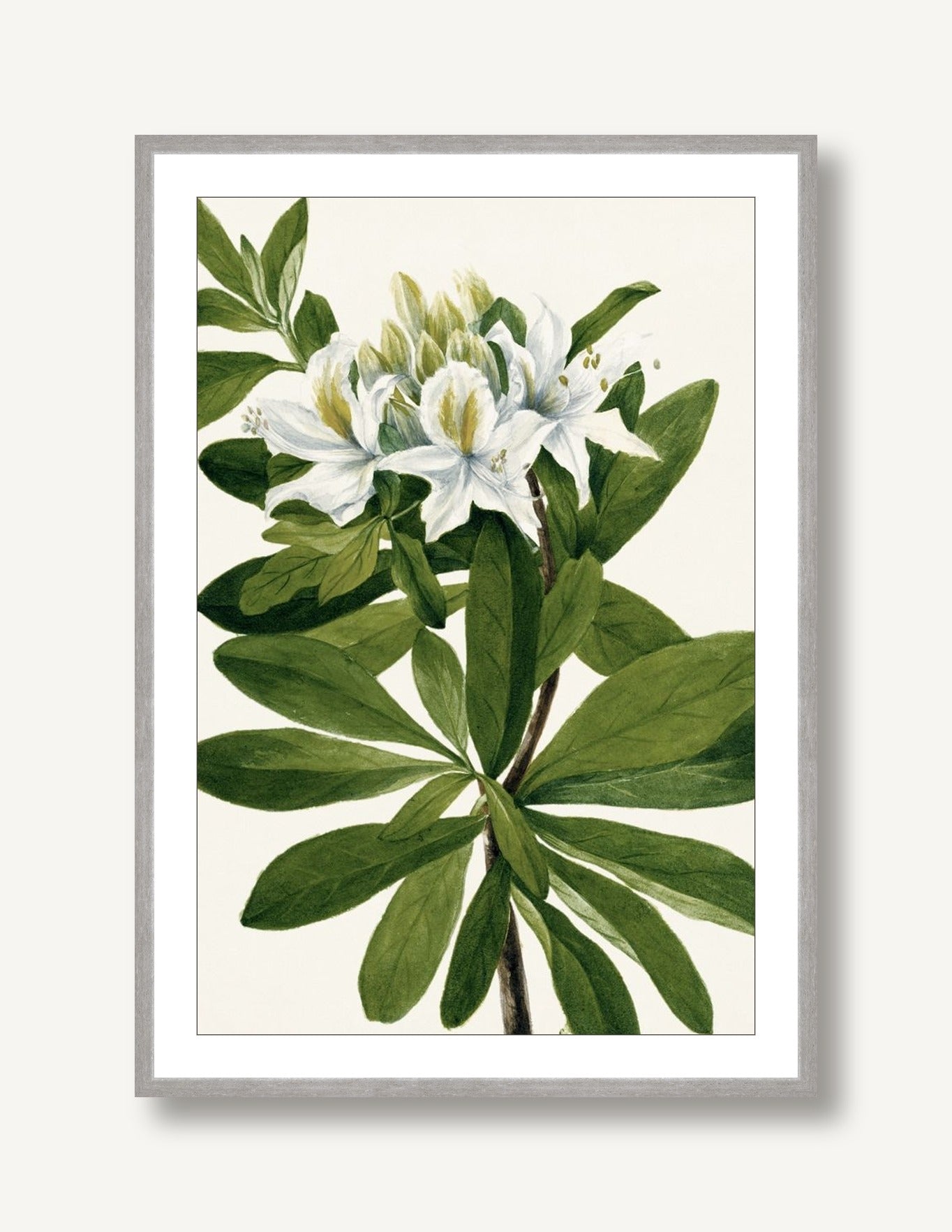 White Florals 8 framed