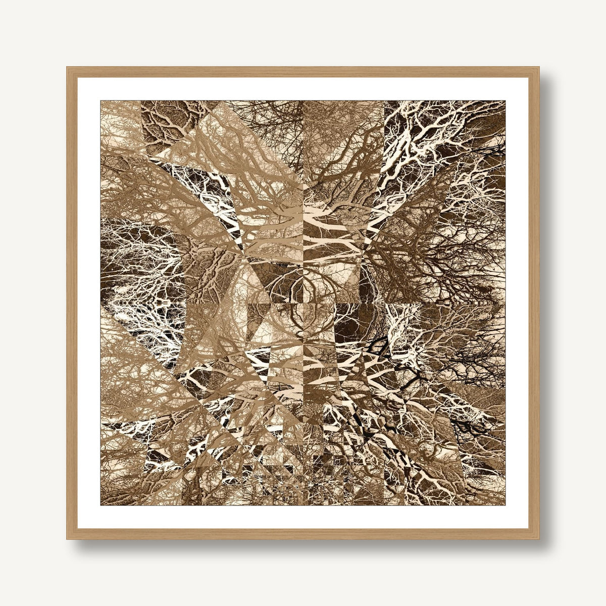 A Forest in Echo 1 framed