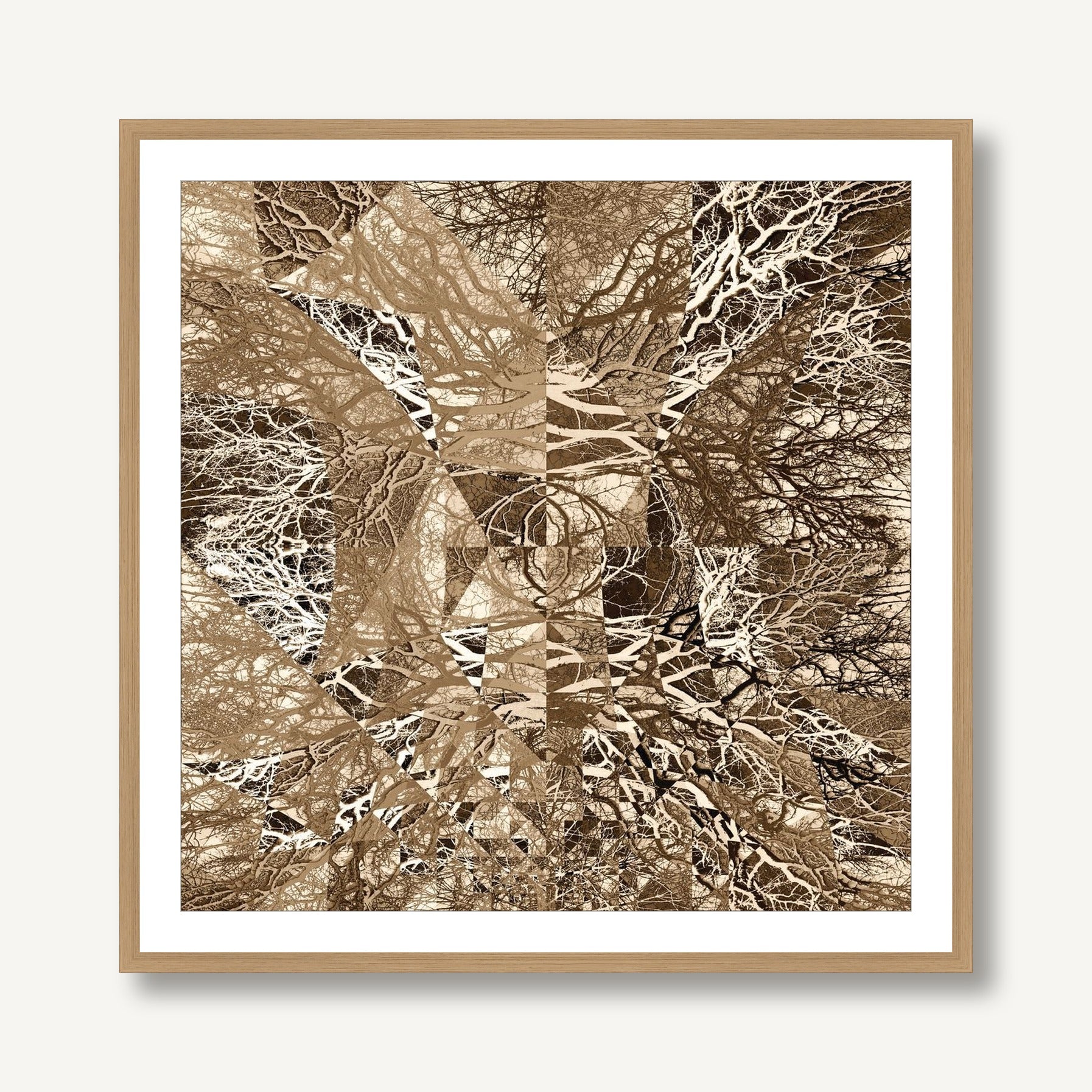 A Forest in Echo 1 framed
