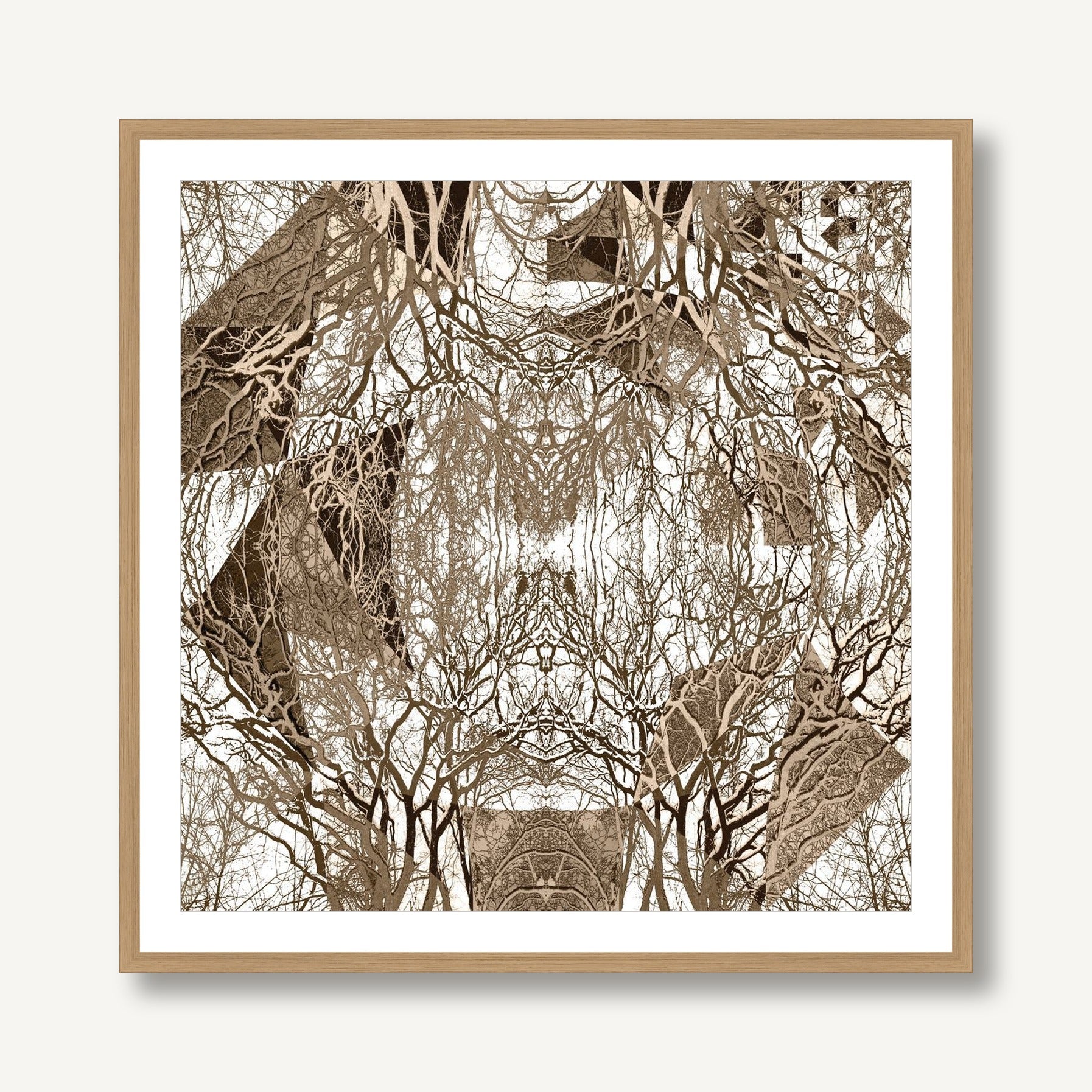 A Forest in Echo 2 framed