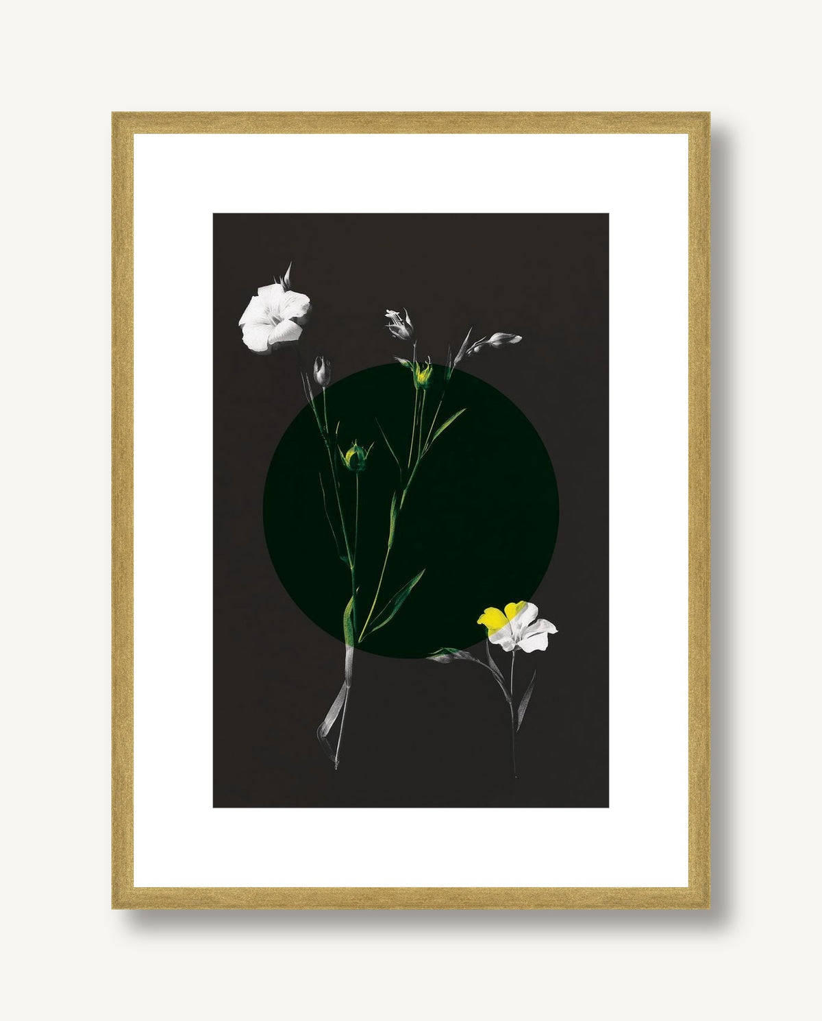 Color Burn Blossom 1 framed