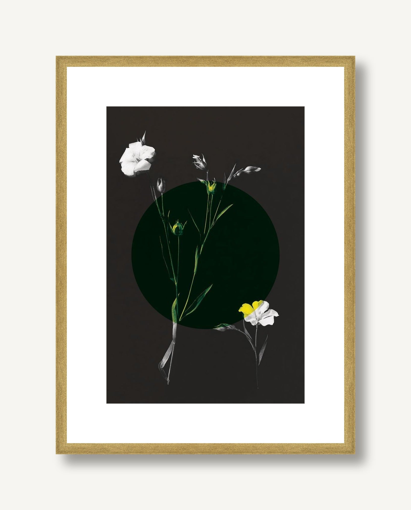 Color Burn Blossom 1 framed