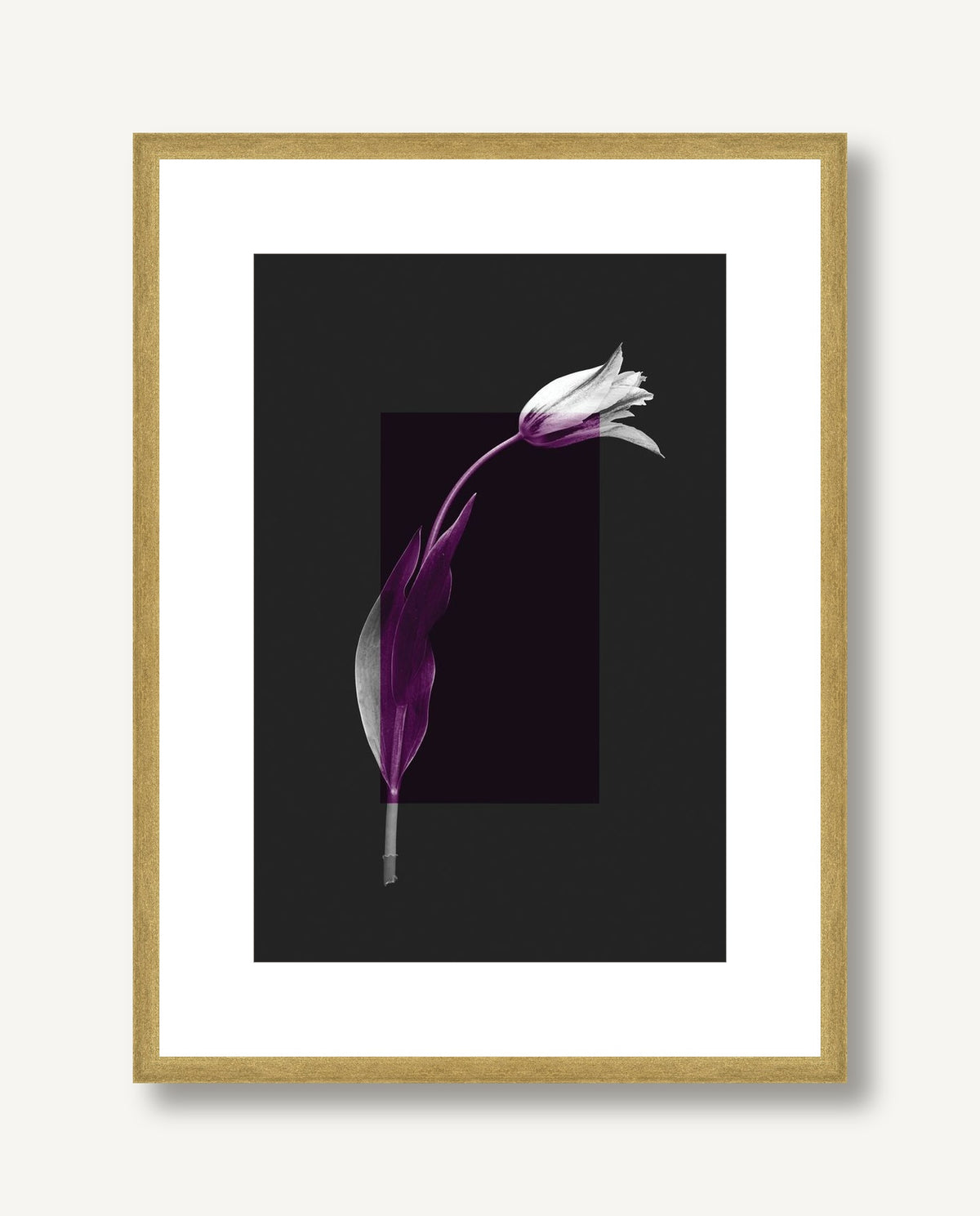 Color Burn Blossom 2 framed