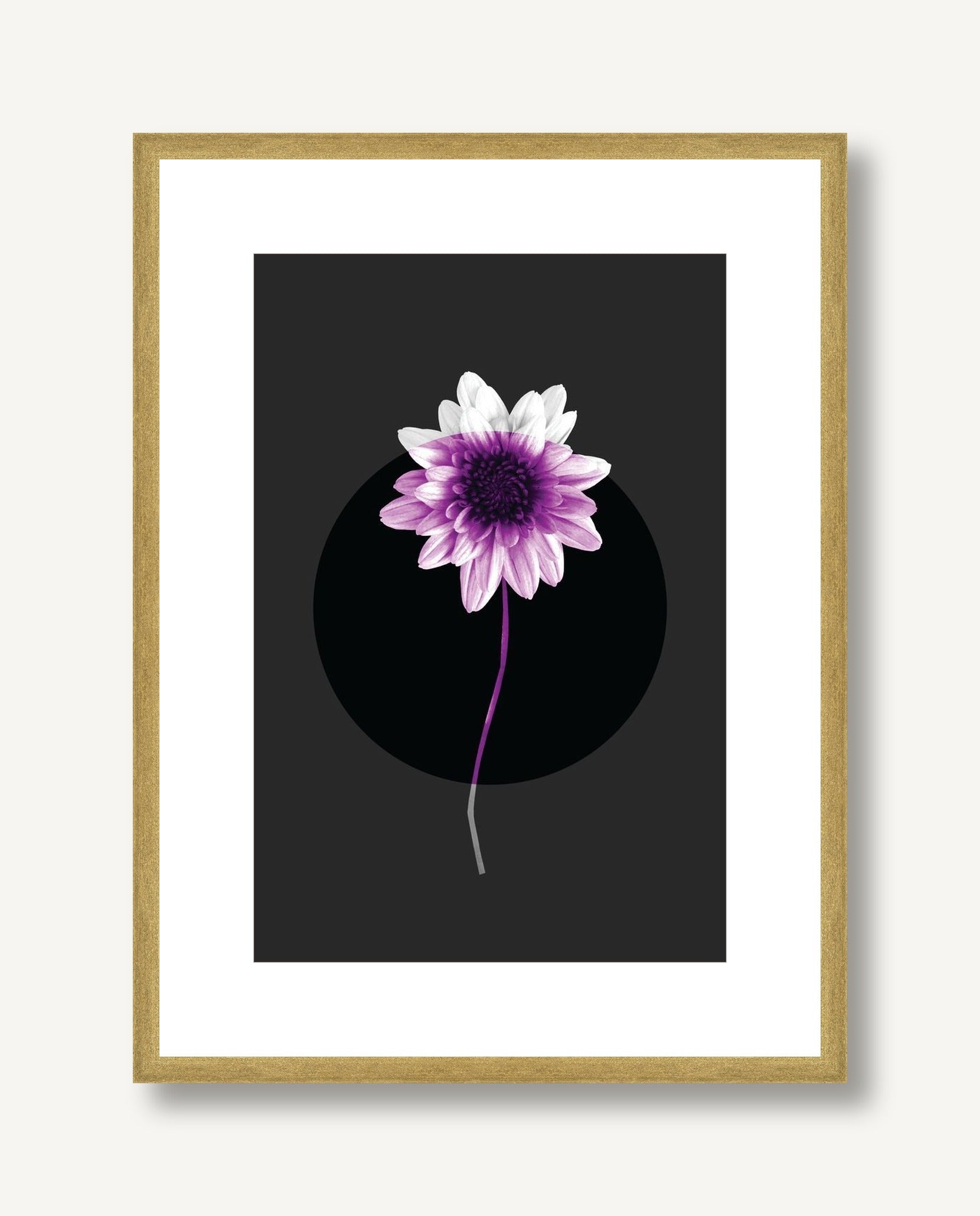 Color Burn Blossom 4 framed