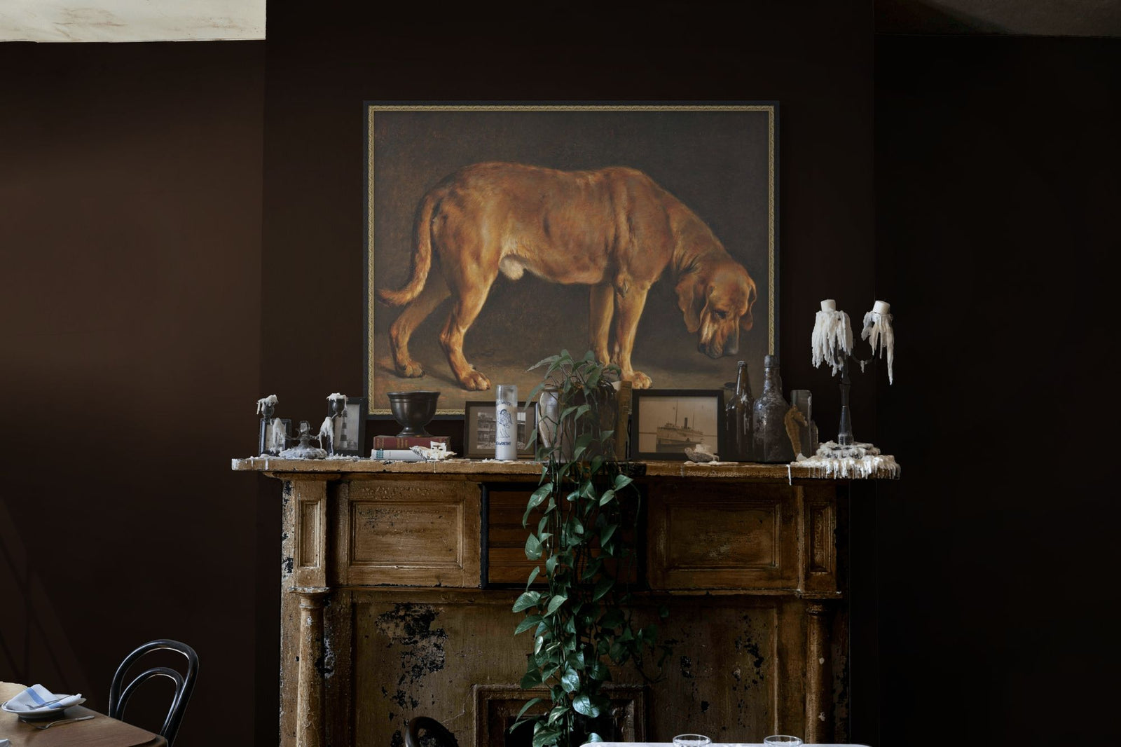 Hound and Beetle 1 — in situ