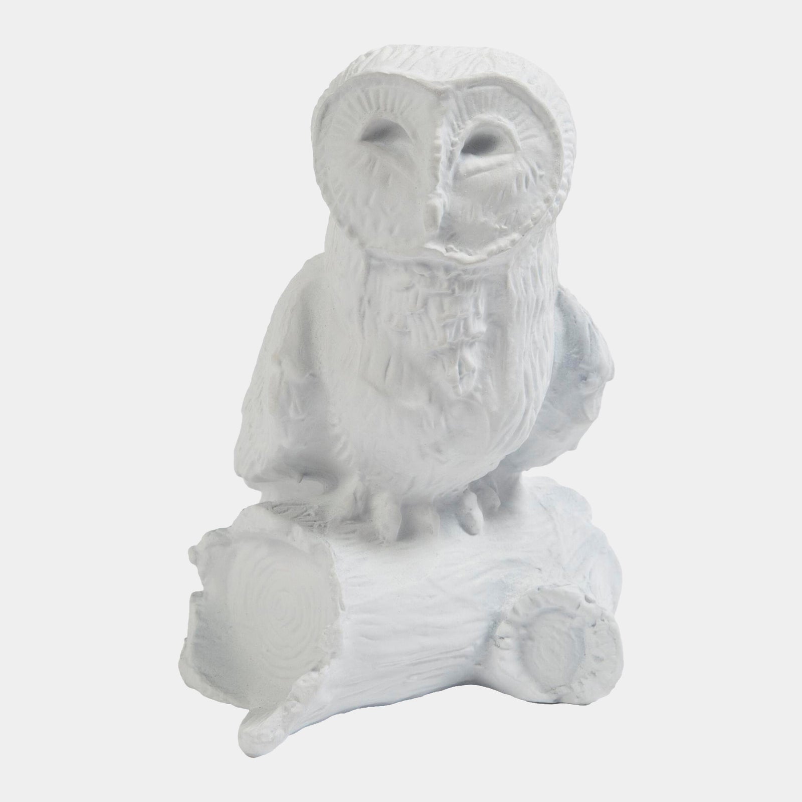 Owl On Branch-Matte White